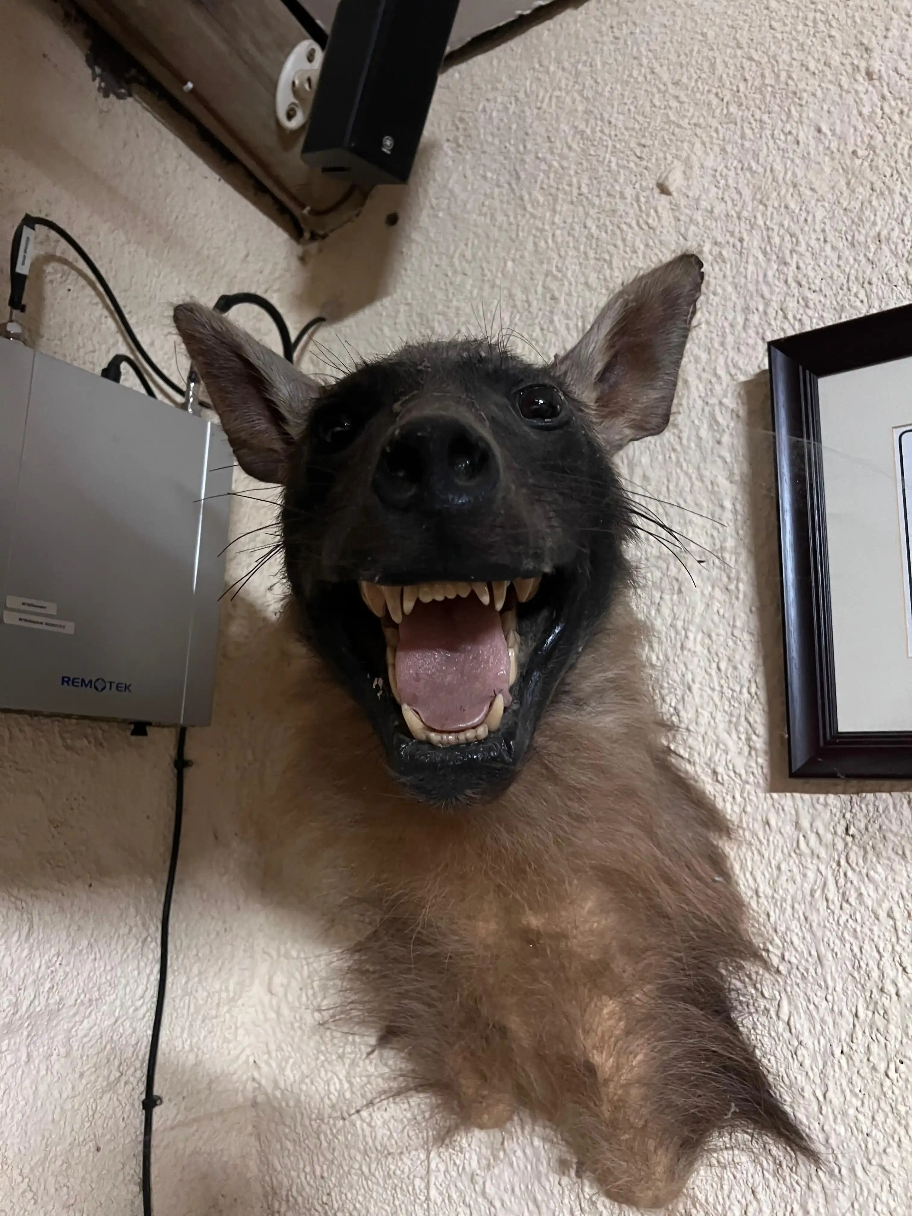 Curso de Cazador Profesional - Imagen 7